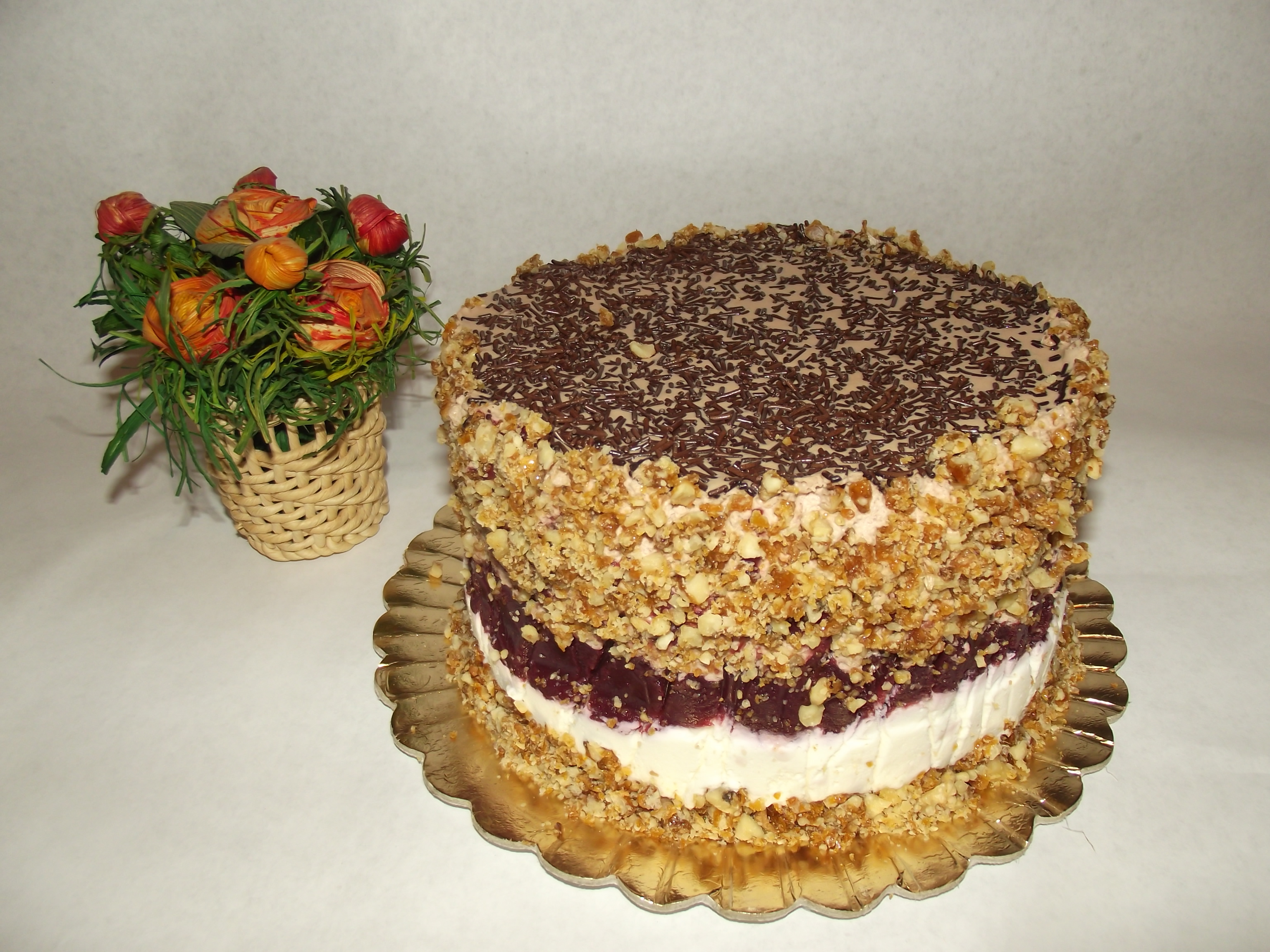 Desert tort Alin