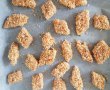 Somon Katsu (Somon la cuptor in crusta crocanta de pesmet)-1