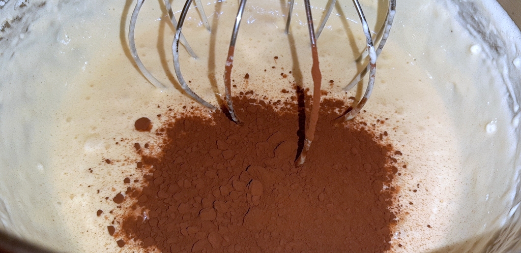 Desert tort amandina