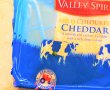 Ciuperci umplute cu cheddar si ceapa verde-10