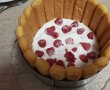 Desert tort din piscoturi, cu crema de iaurt si fructe-2