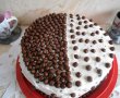 Desert tort Choco Balls-14
