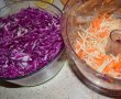Salata duo de varza cu morcovi si telina-0