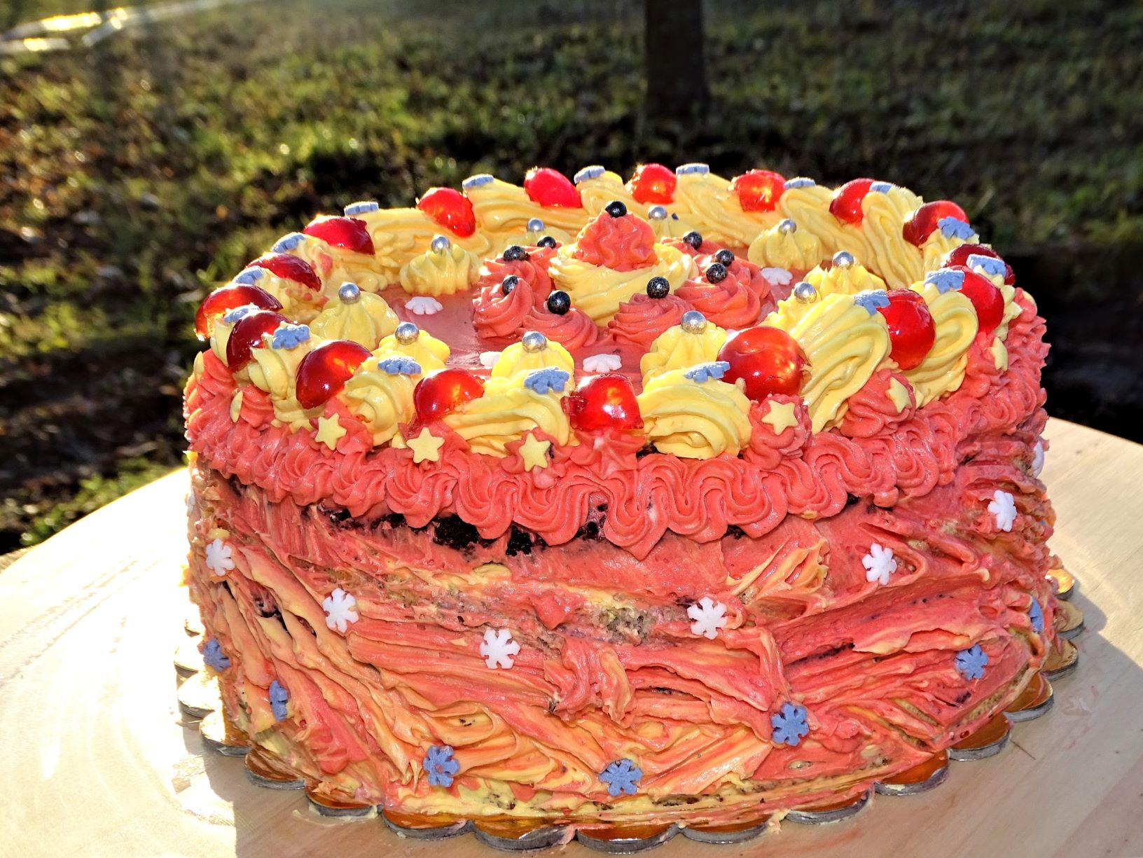 Desert tort 27 ani