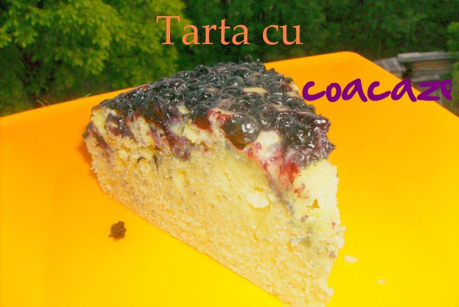 Tarta cu fructe de sezon