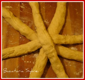 Paine rotunda impletita