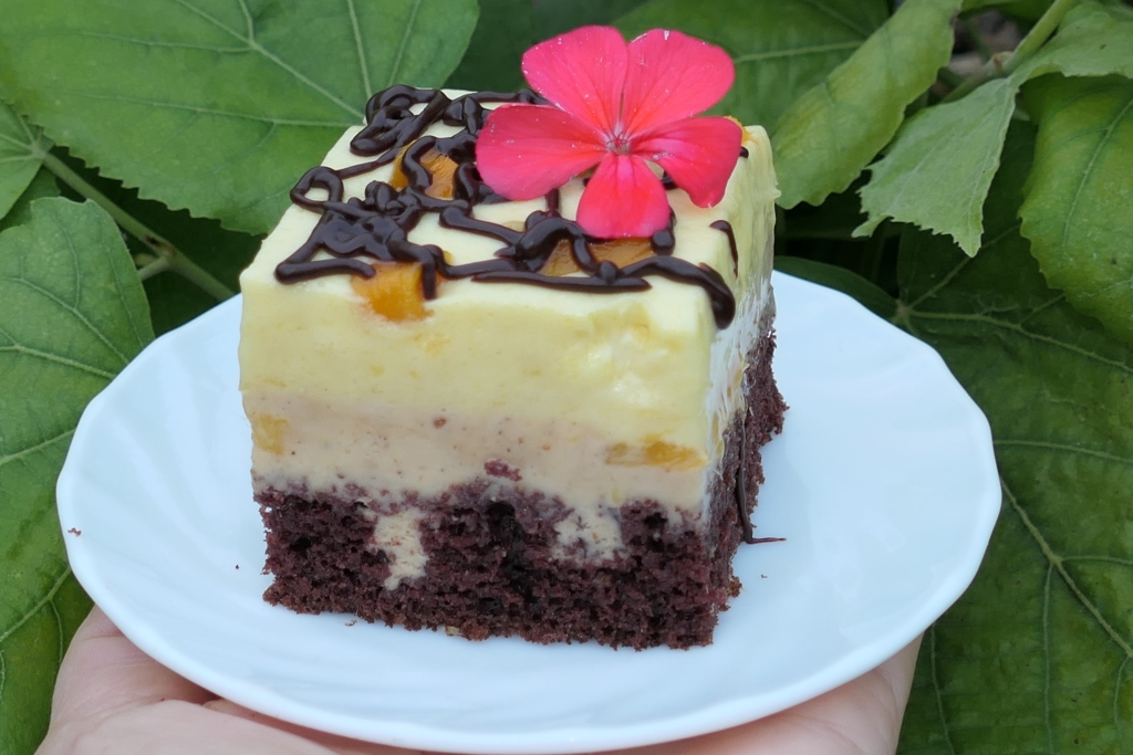 Prajitura cu mango si pralina cu alune de padure