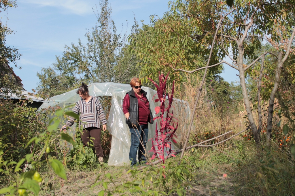 Buni, draga mea draga