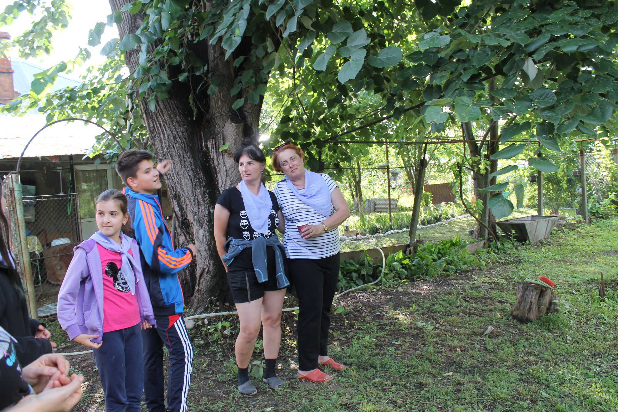 Buni, draga mea draga